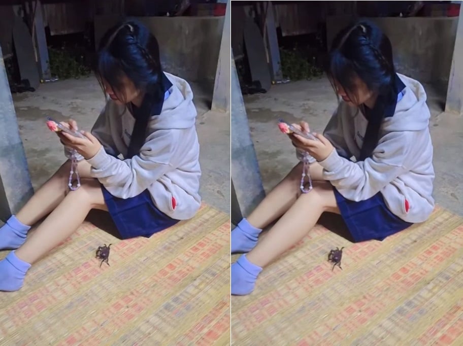 Tối sang nhà bạn chơi nhưng chỉ thấy rên